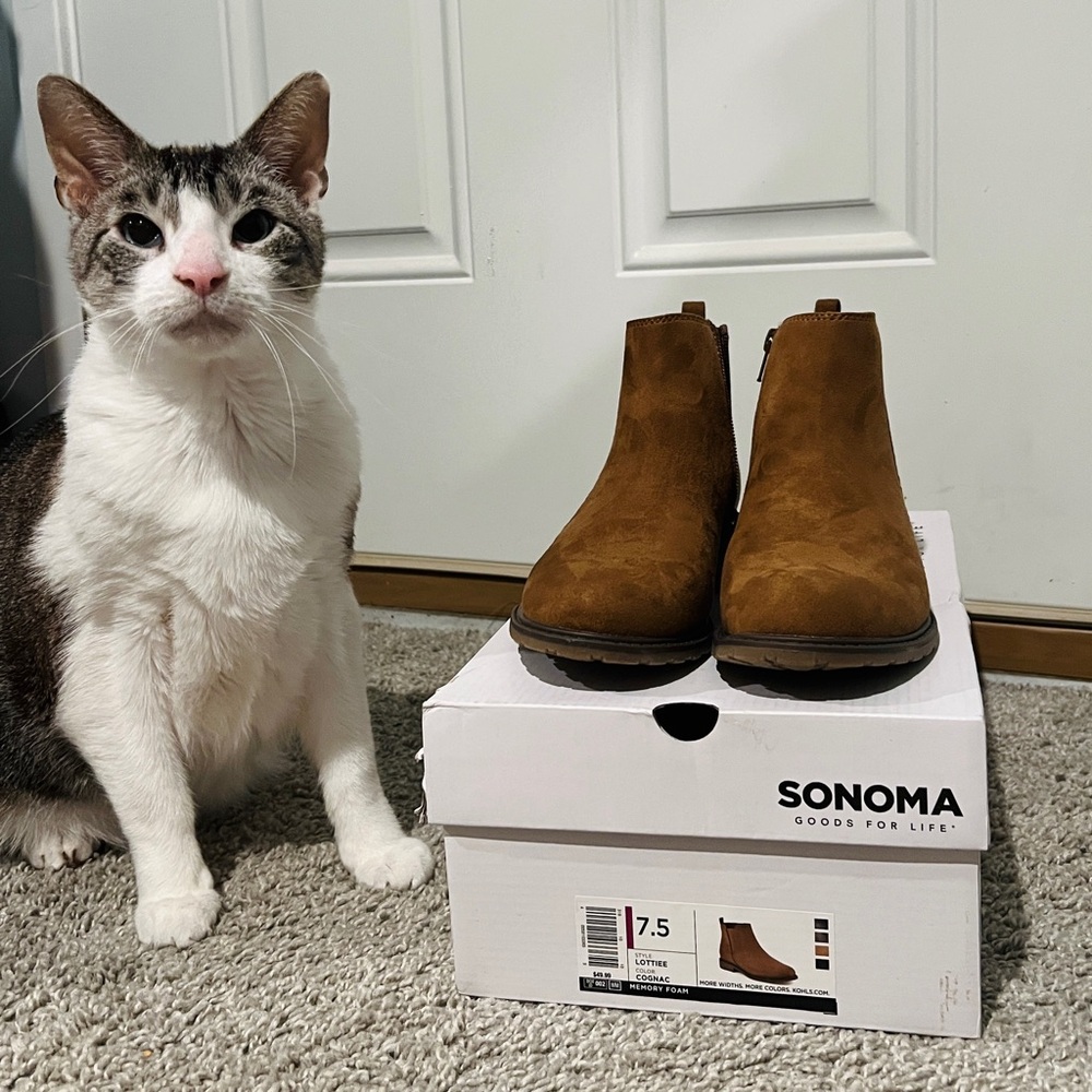 Sonoma Goods For Life® Lottie Women's Chelsea Boots, Cognac | New in Box | NIB